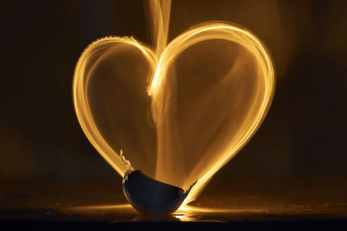 vliv-cerneho-cesneku-na-srdce-a-cevy